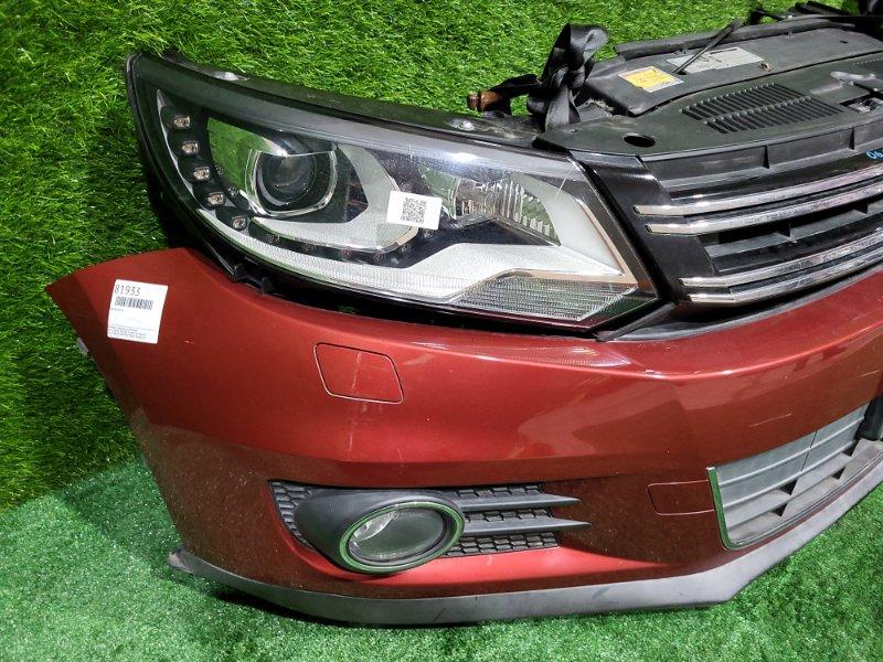 Ноускат — фото 7