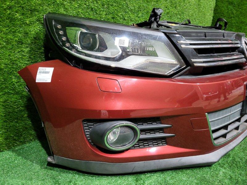 Ноускат — фото 8