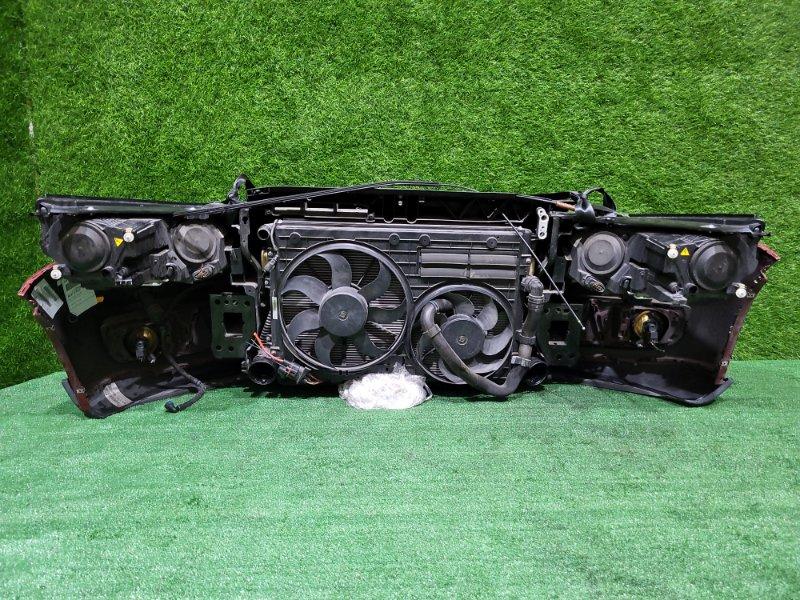 Ноускат — фото 9