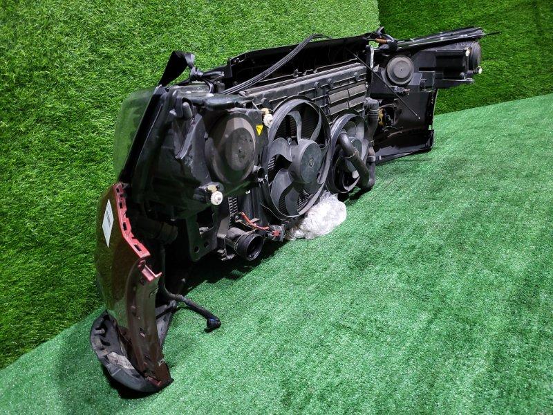 Ноускат — фото 11