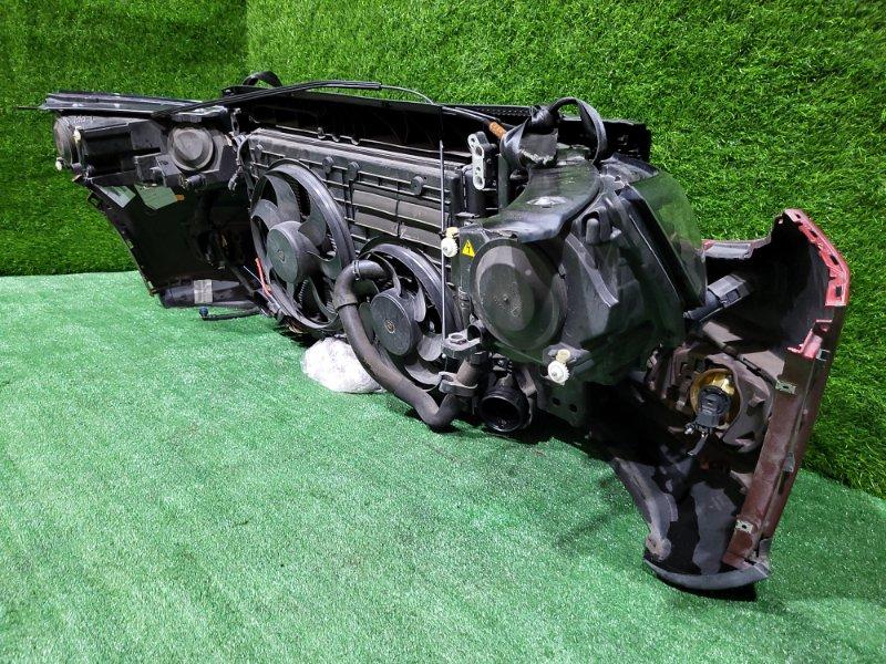 Ноускат — фото 12