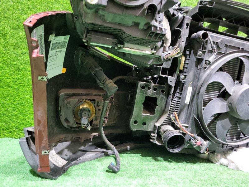 Ноускат — фото 16