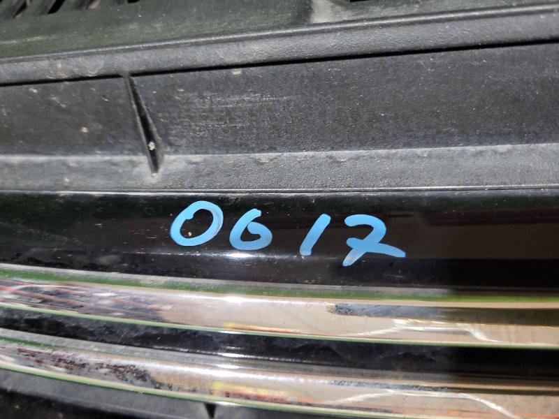 Ноускат — фото 18