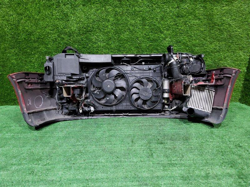 Ноускат — фото 9