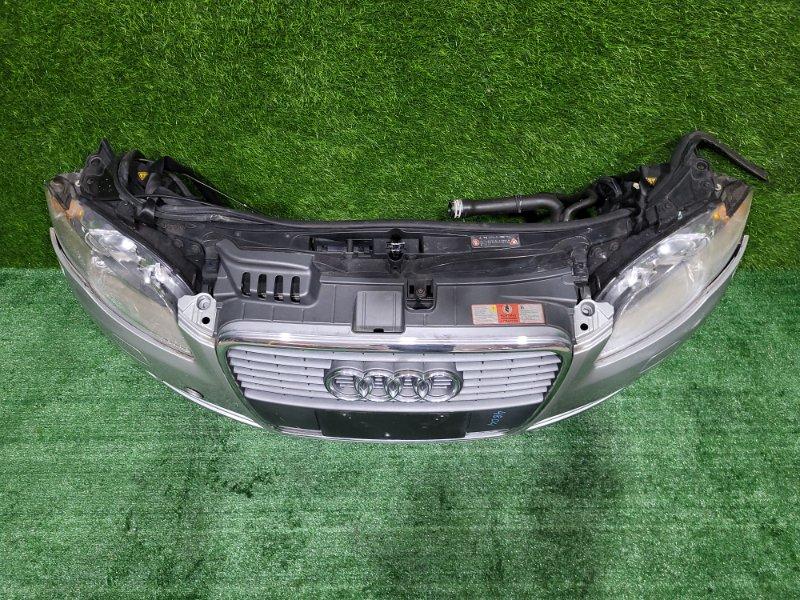 Ноускат — фото 2