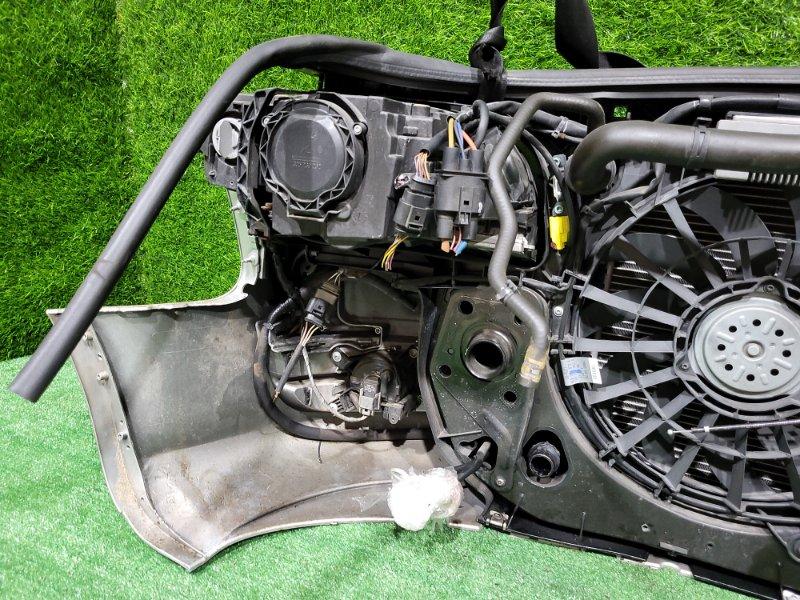 Ноускат — фото 14