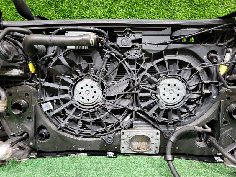 Ноускат — фото 15