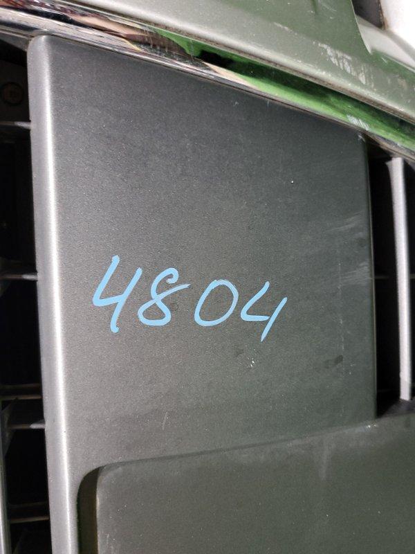 Ноускат — фото 16