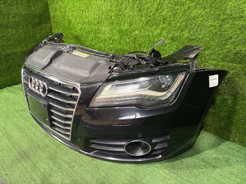 Ноускат — фото 3