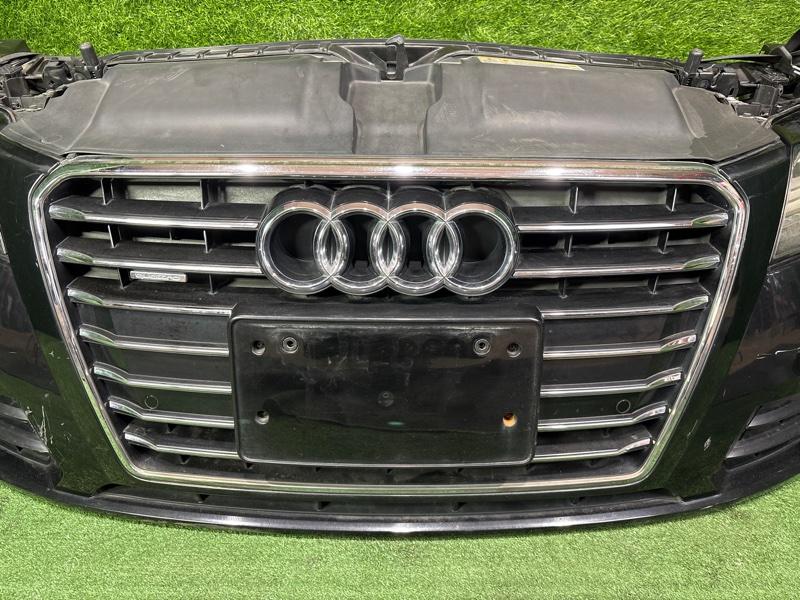 Ноускат — фото 7