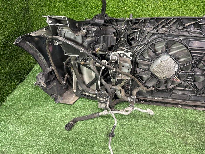 Ноускат — фото 10