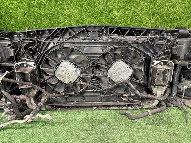 Ноускат — фото 11