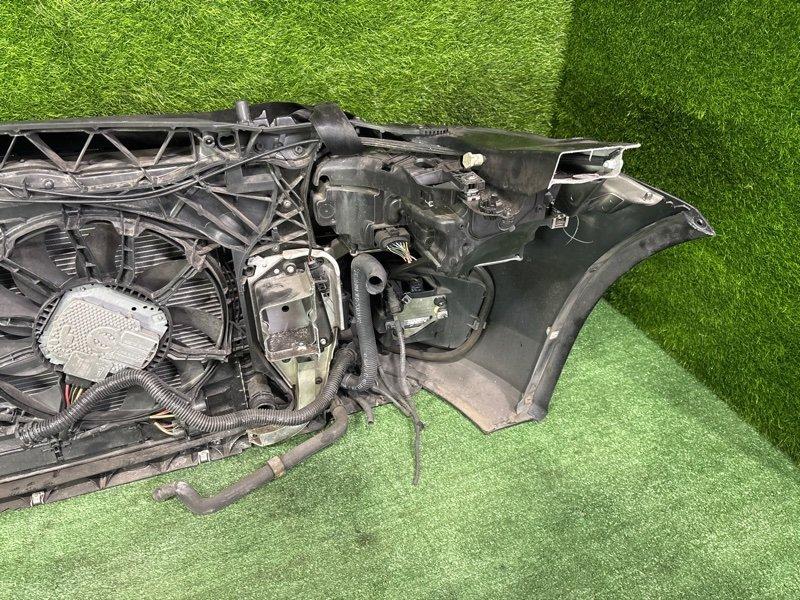 Ноускат — фото 12