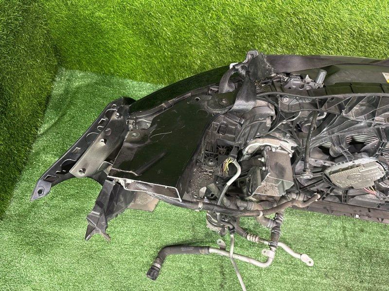 Ноускат — фото 13