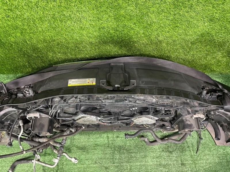 Ноускат — фото 14