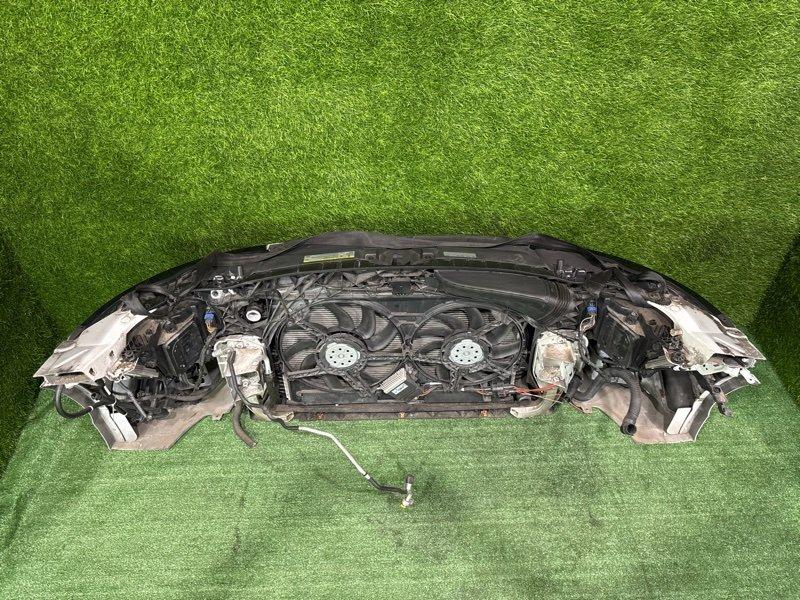 Ноускат — фото 13