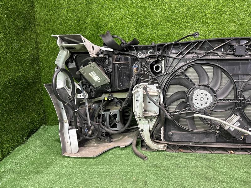 Ноускат — фото 14