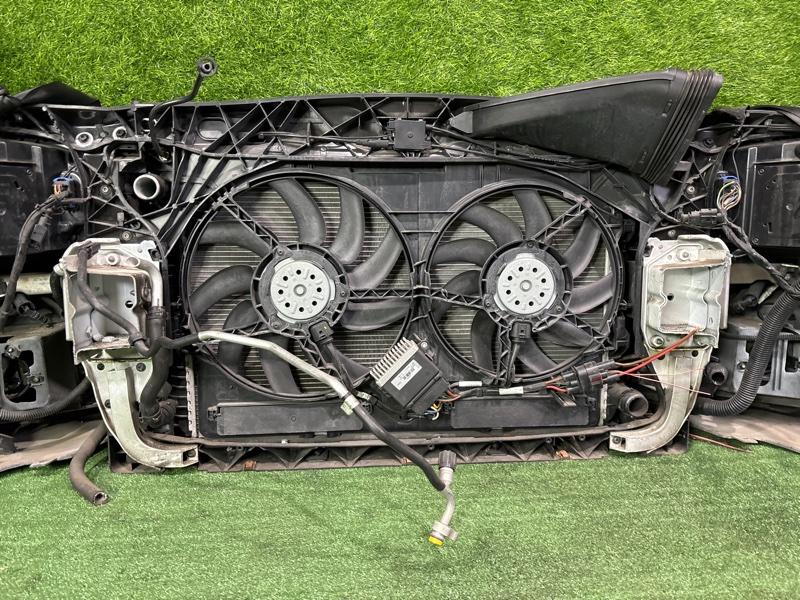 Ноускат — фото 15