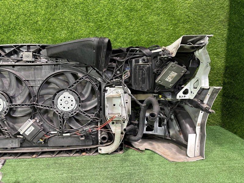 Ноускат — фото 16