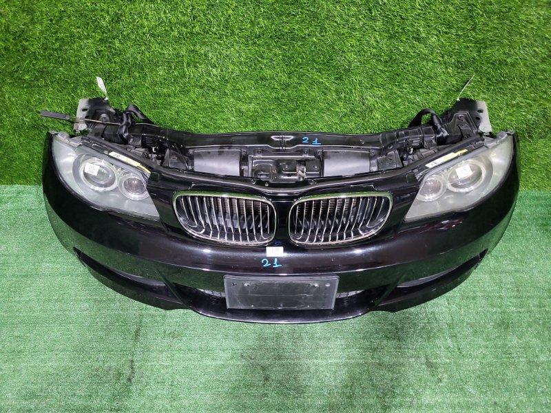 Ноускат — фото 2