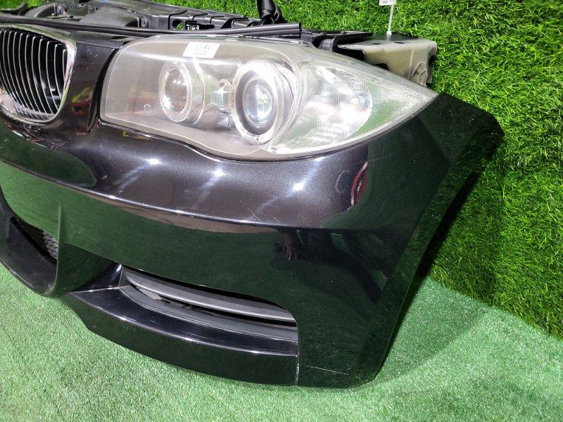 Ноускат — фото 5