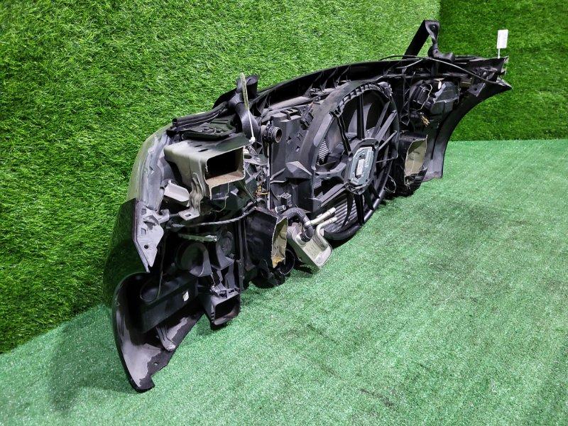 Ноускат — фото 9