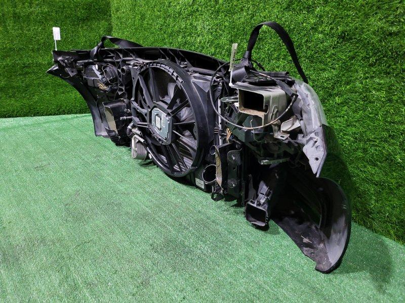 Ноускат — фото 10