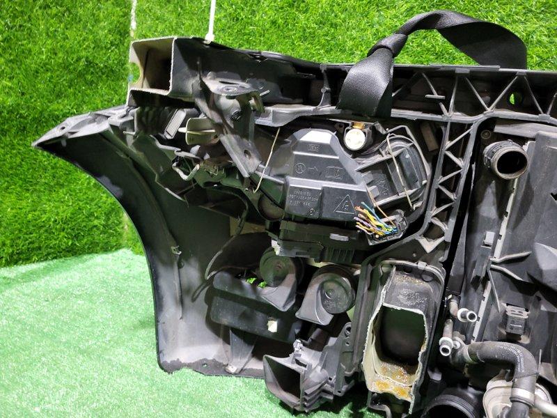 Ноускат — фото 12