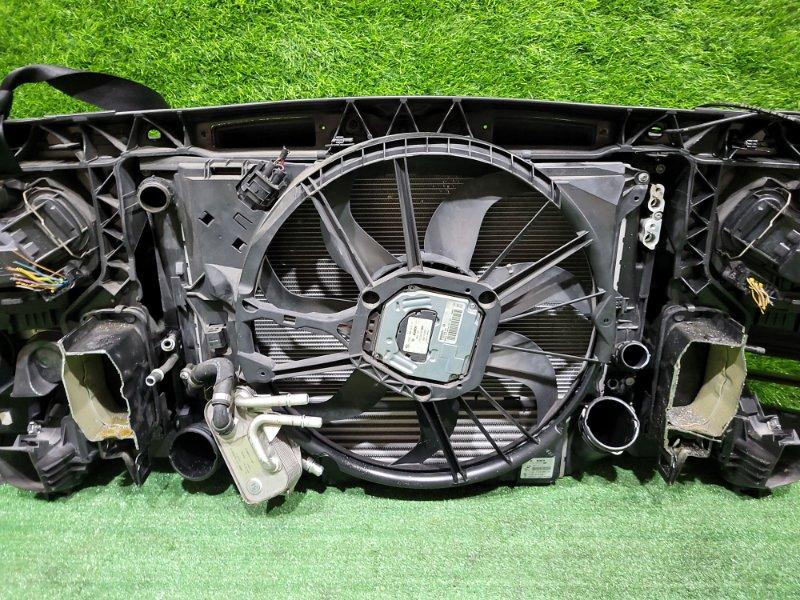 Ноускат — фото 13