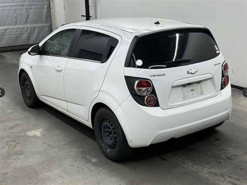 Фото донора 4