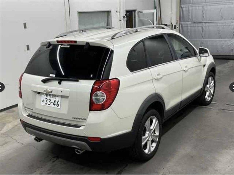 Фото донора 3