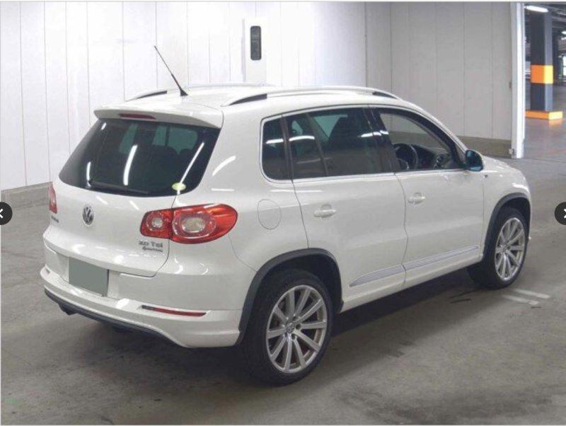 Фото донора 4