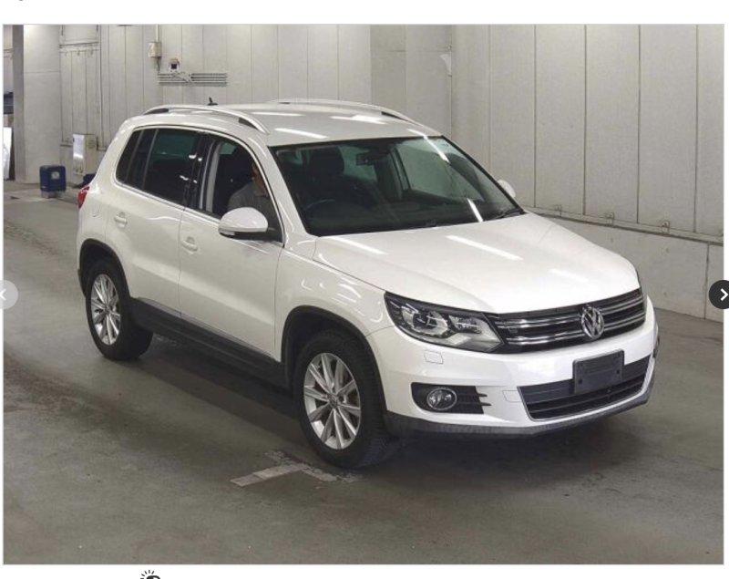 Фото донора 2