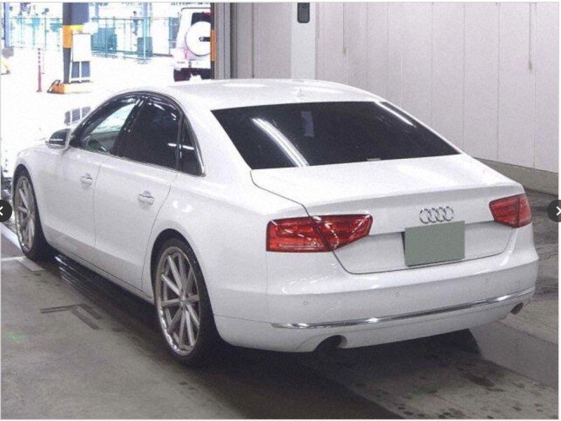 Фото донора 3