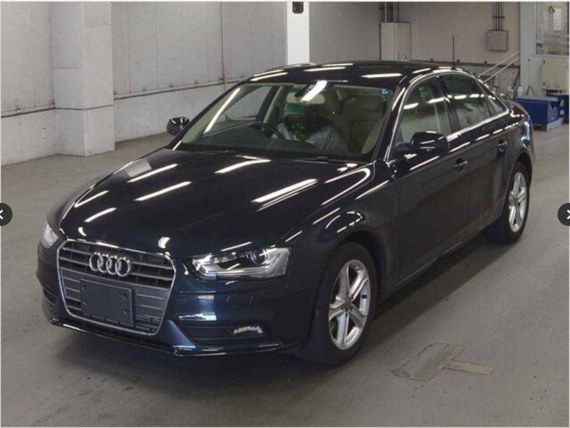 Фото донора 1