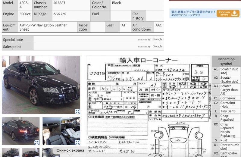 Фото донора 7