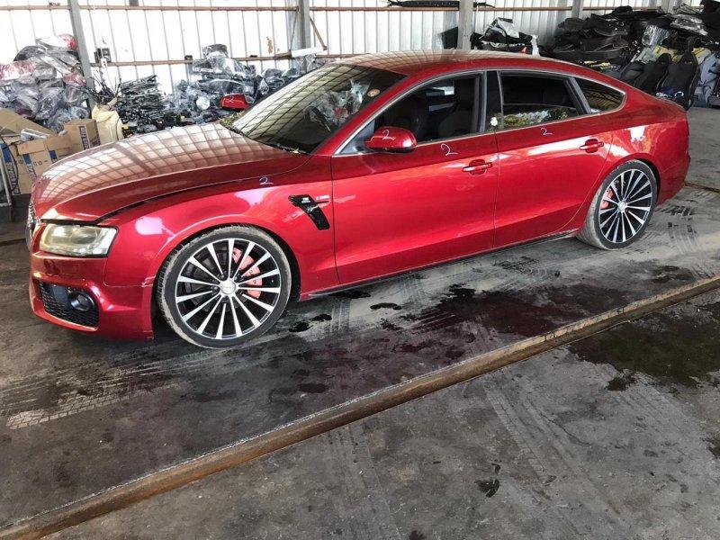 Фото донора 1