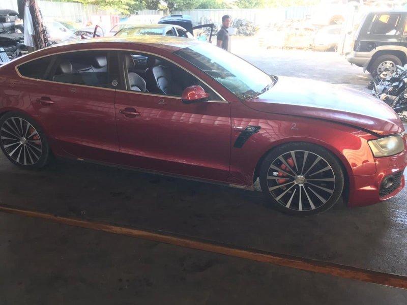 Фото донора 2