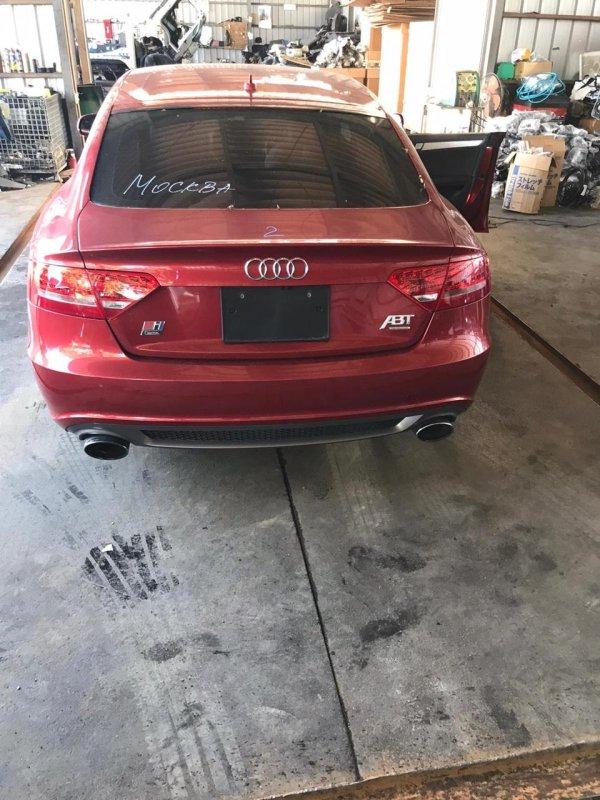 Фото донора 4