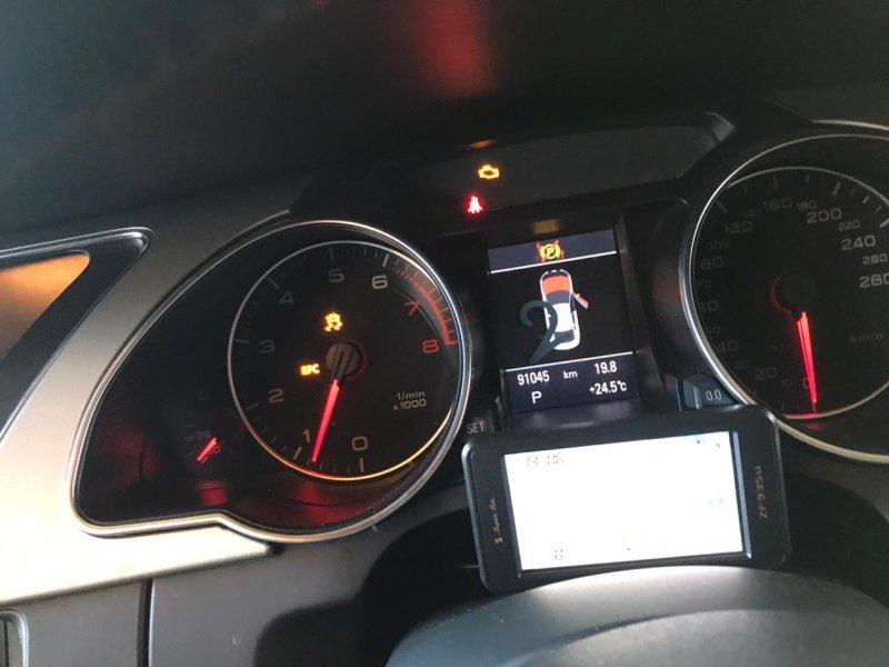 Фото донора 7