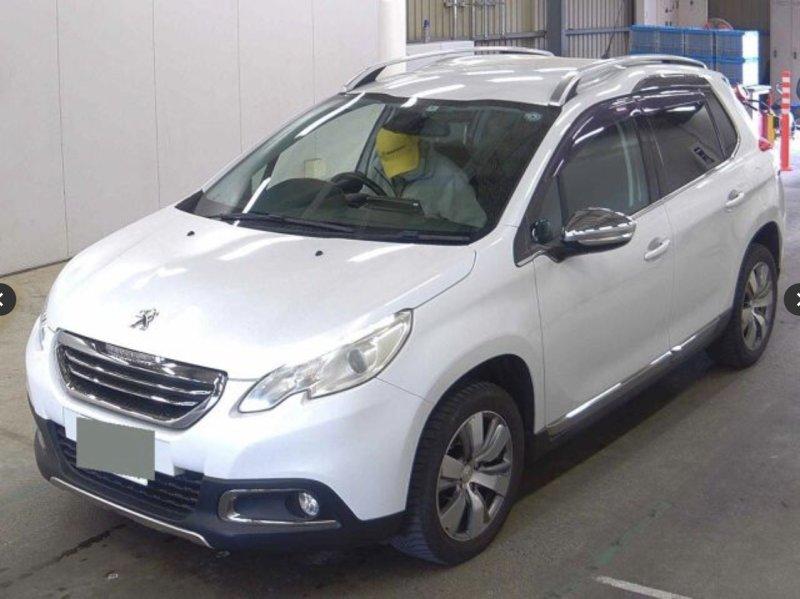 Фото донора 2