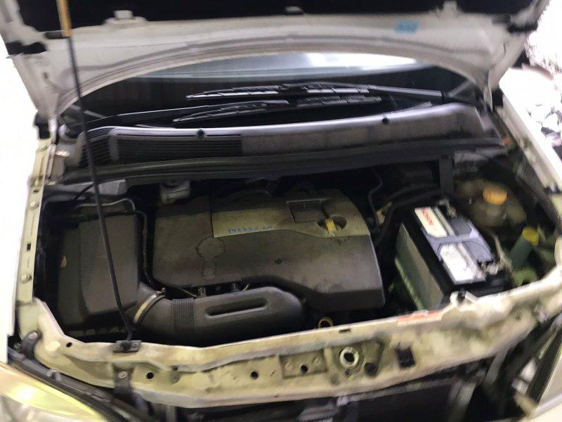 Фото донора 7