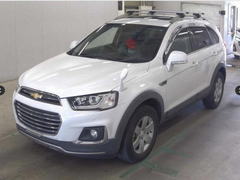 Фото донора 3