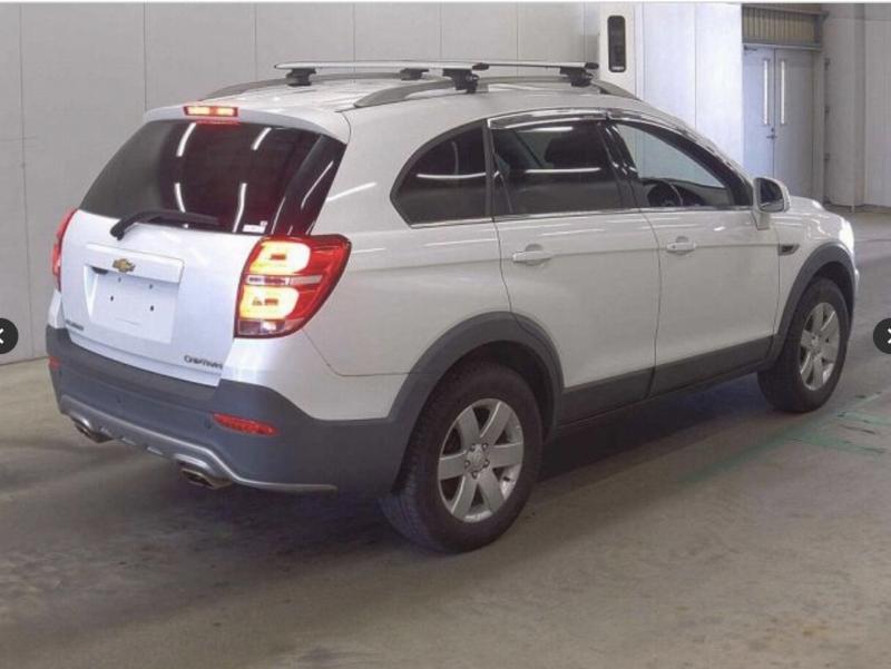 Фото донора 4