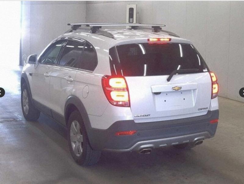 Фото донора 5