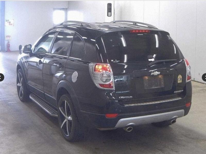 Фото донора 5