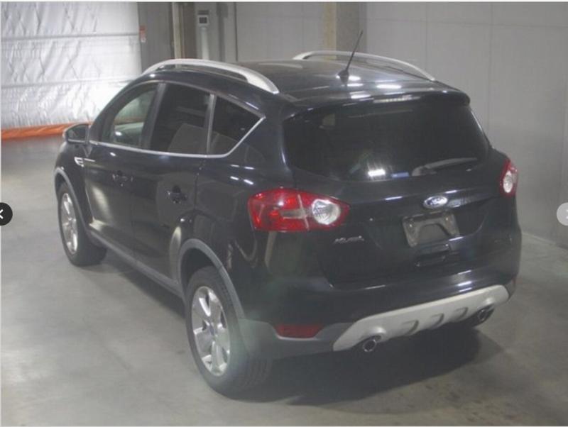 Фото донора 5