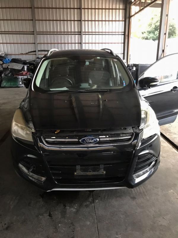 Фото донора 3