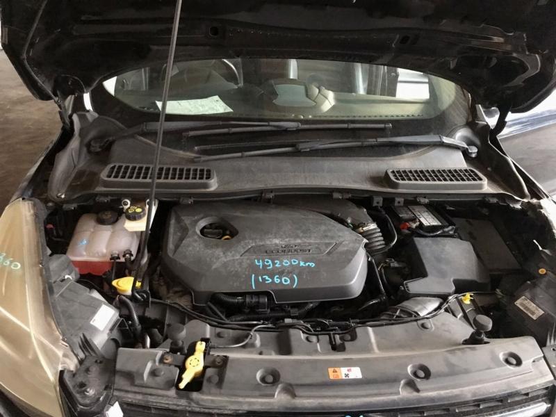 Фото донора 6