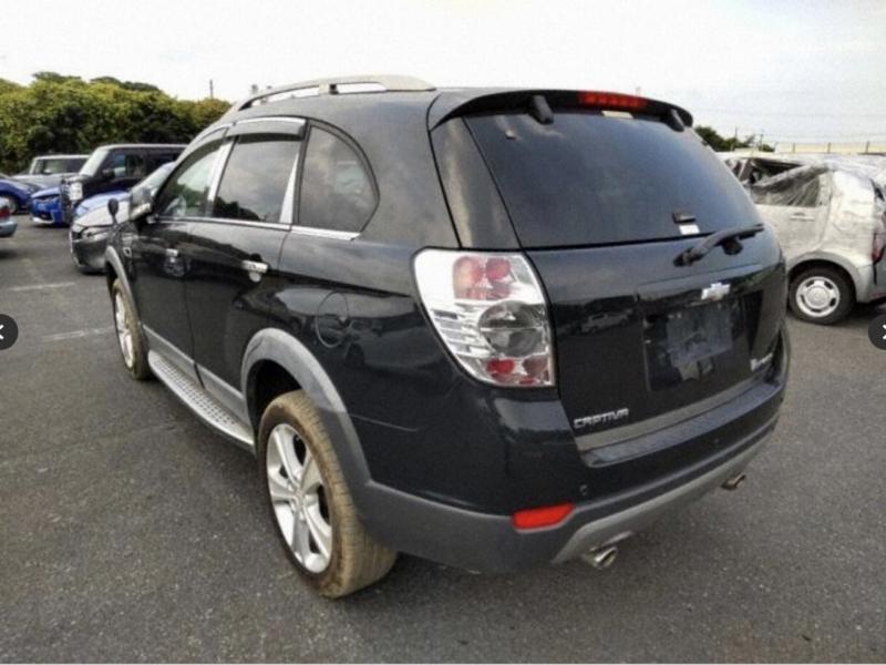 Фото донора 4